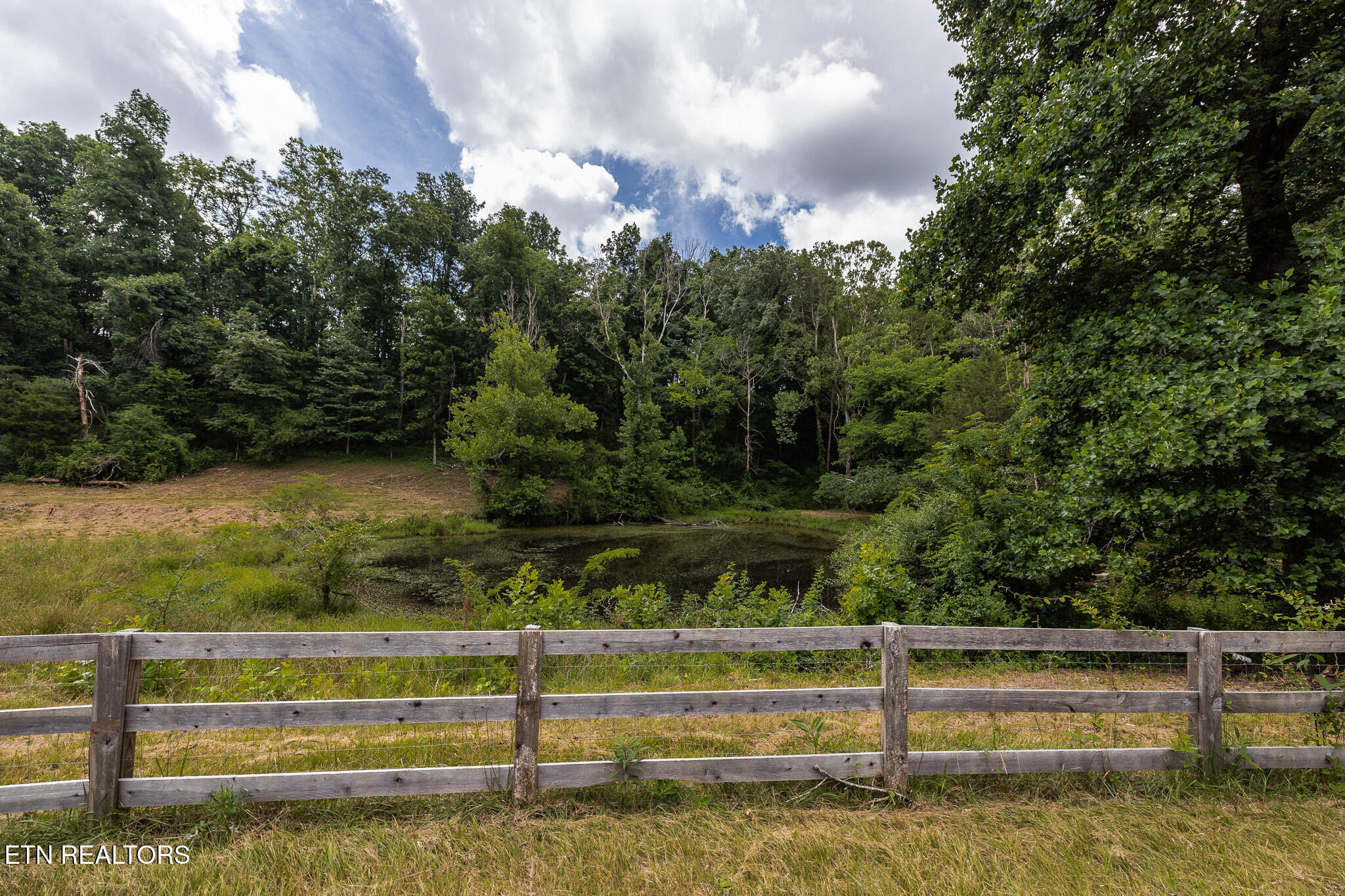 Marble Hill Road (10+ Acres) Friendsville TN 37737