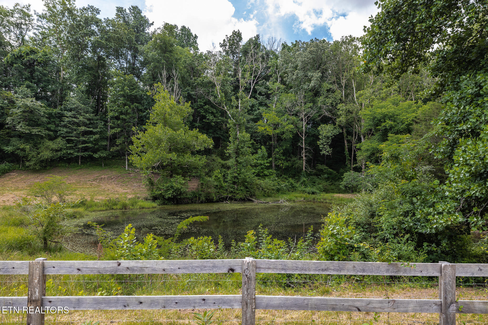 Marble Hill Road (10+ Acres) Friendsville TN 37737