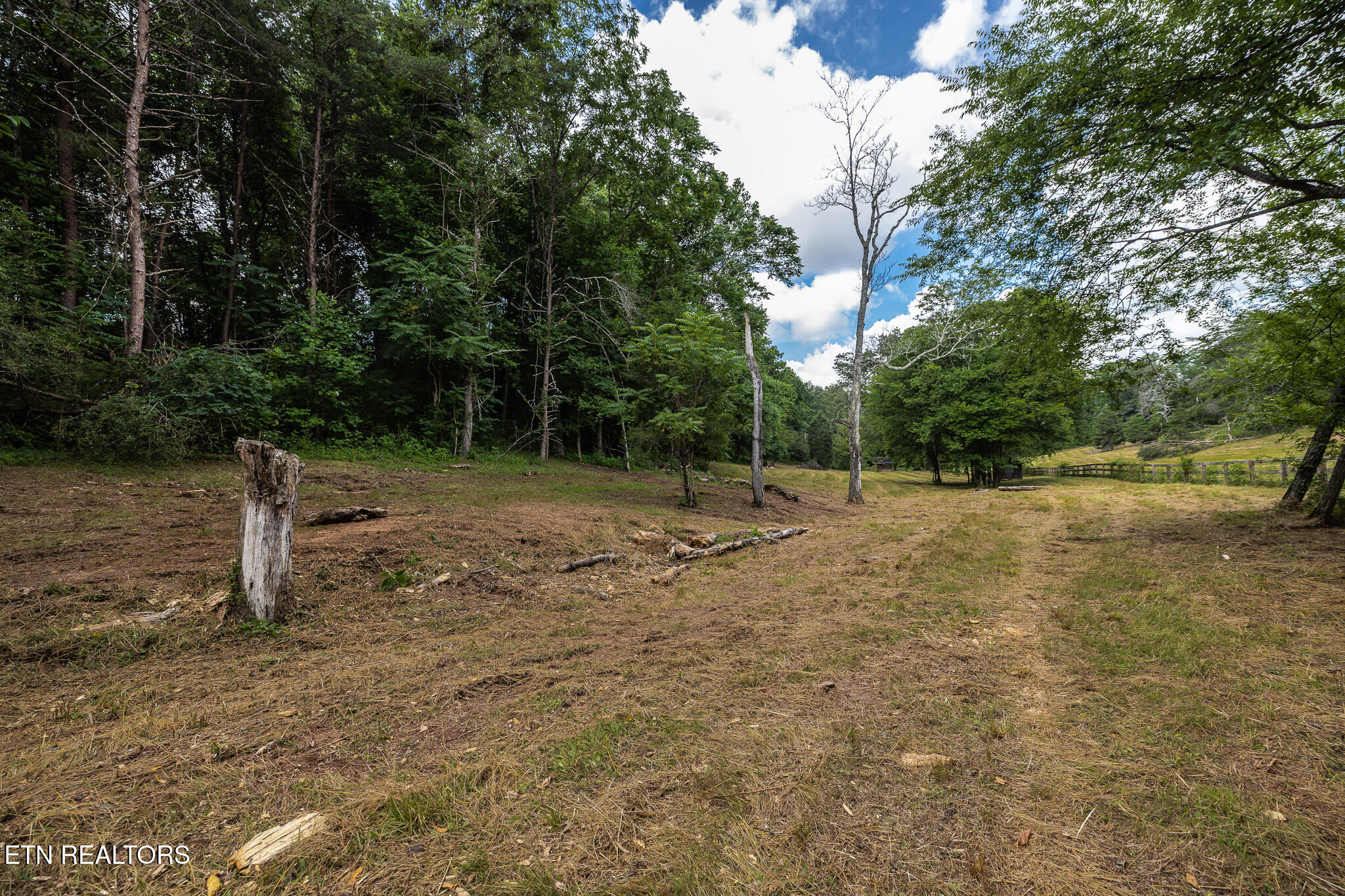 Marble Hill Road (10+ Acres) Friendsville TN 37737