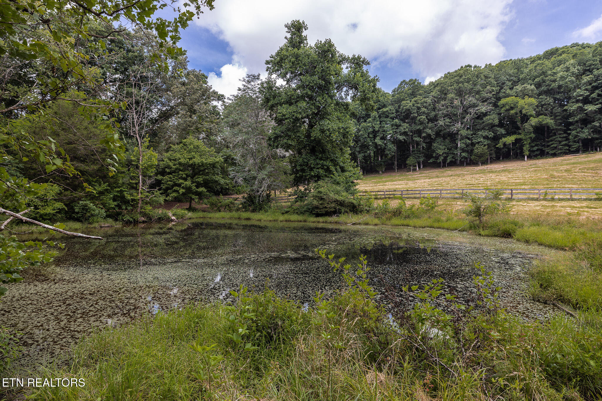 Marble Hill Road (10+ Acres) Friendsville TN 37737