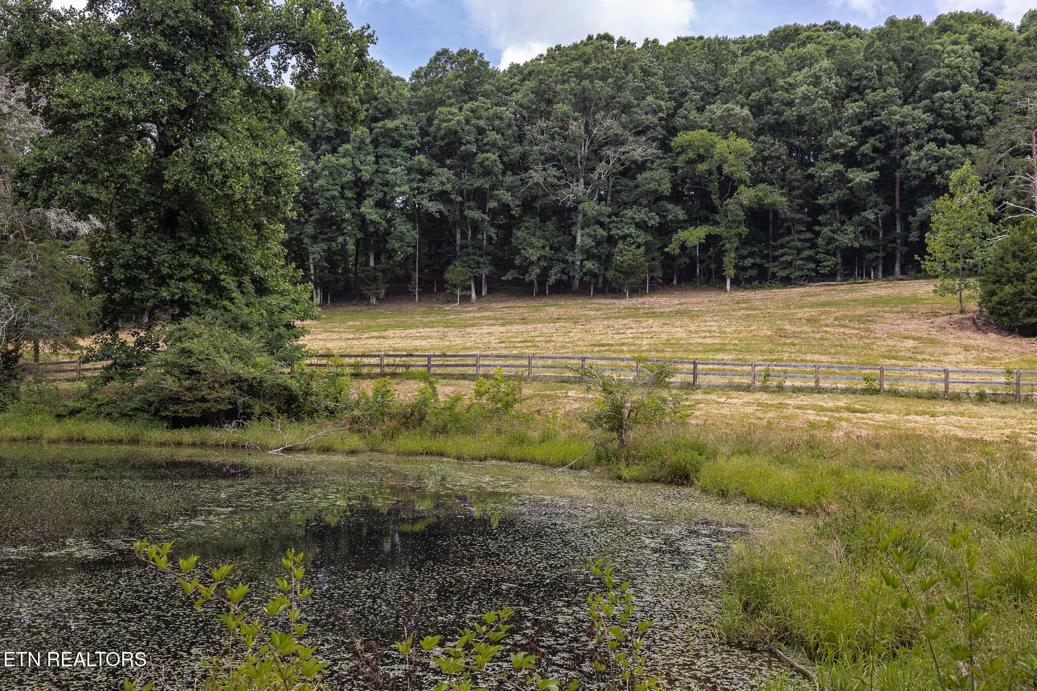 Marble Hill Road (10+ Acres) Friendsville TN 37737