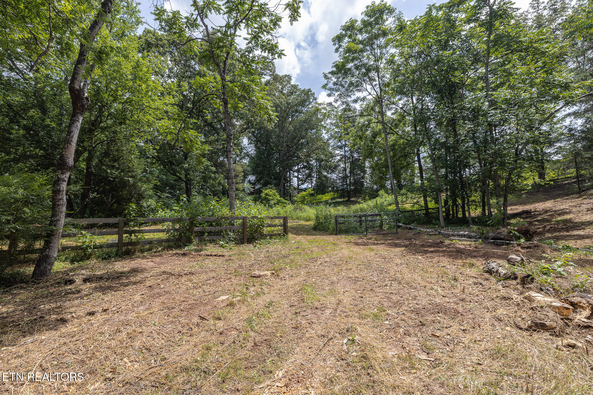 Marble Hill Road (10+ Acres) Friendsville TN 37737