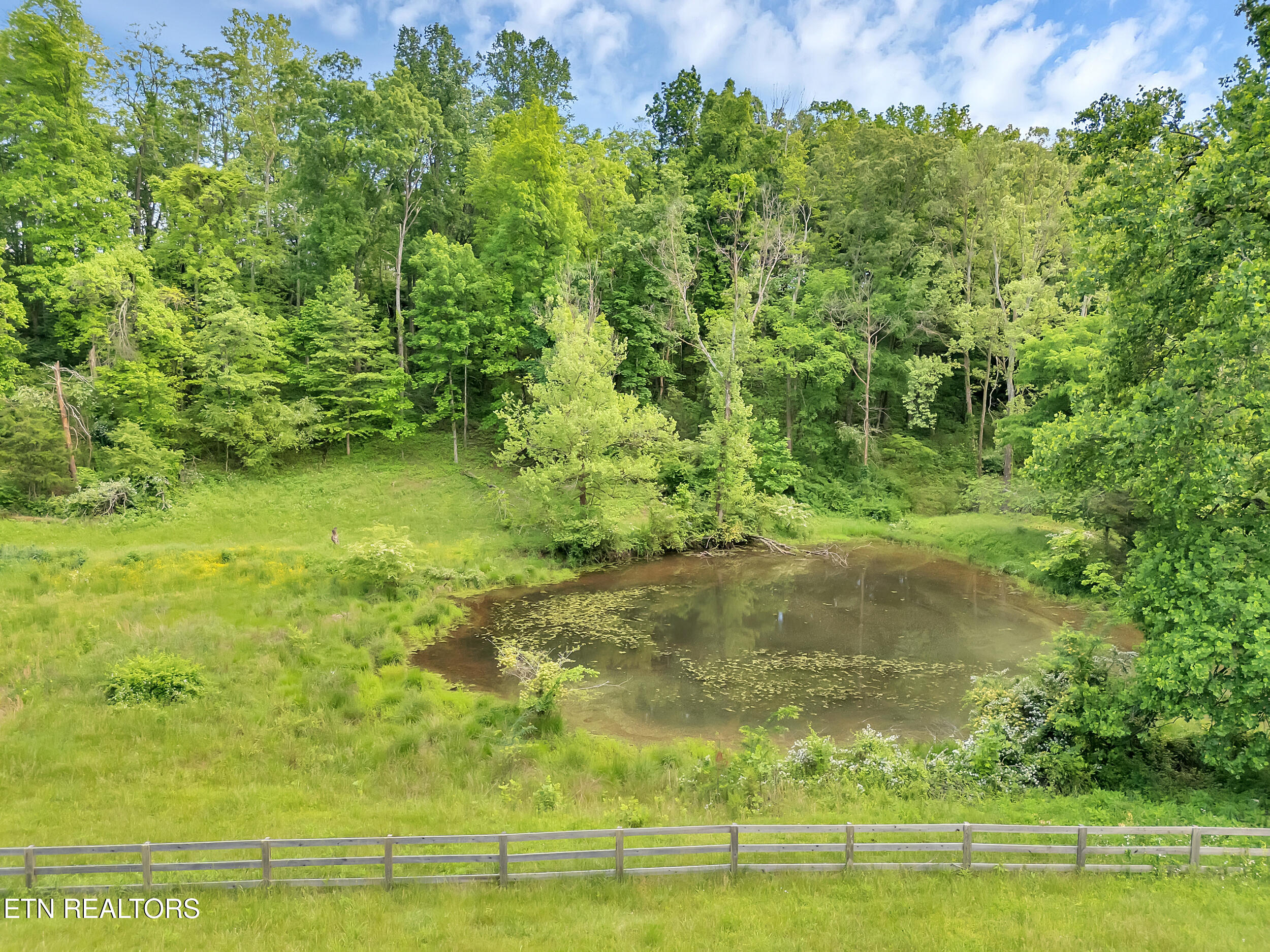 Marble Hill Road (10+ Acres) Friendsville TN 37737