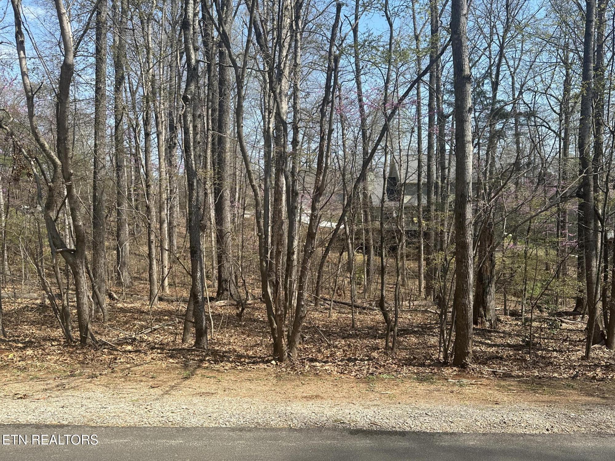 100 Tigitsi Lane Loudon TN 37774
