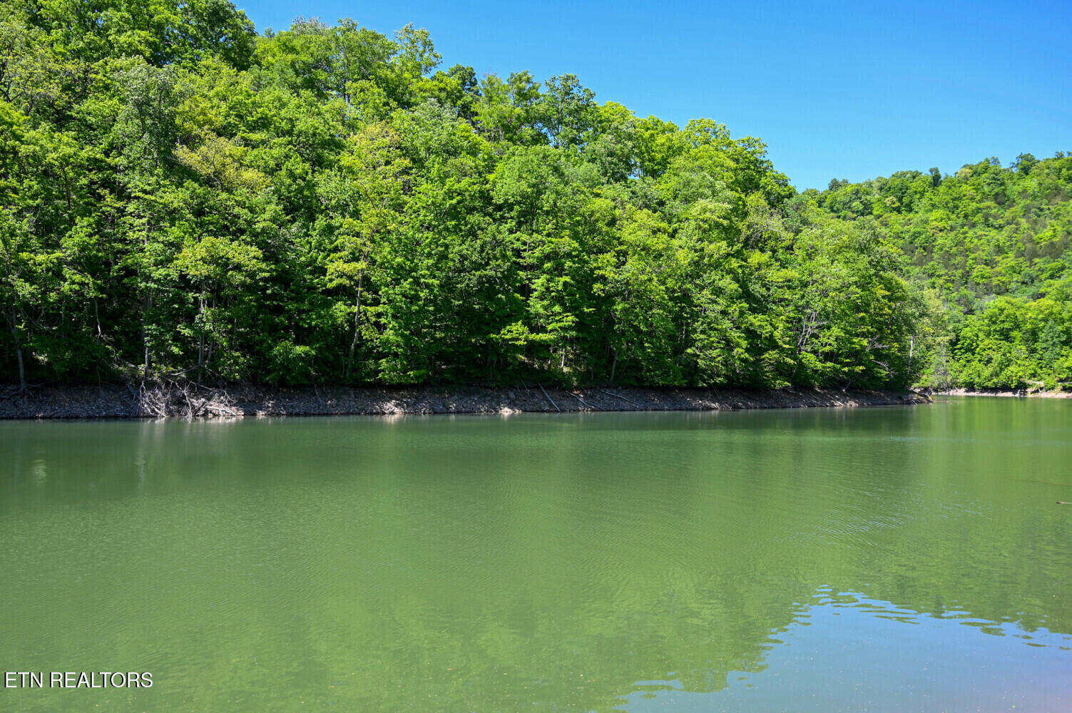 Lot 162 Crestwood Drive Speedwell TN 37870