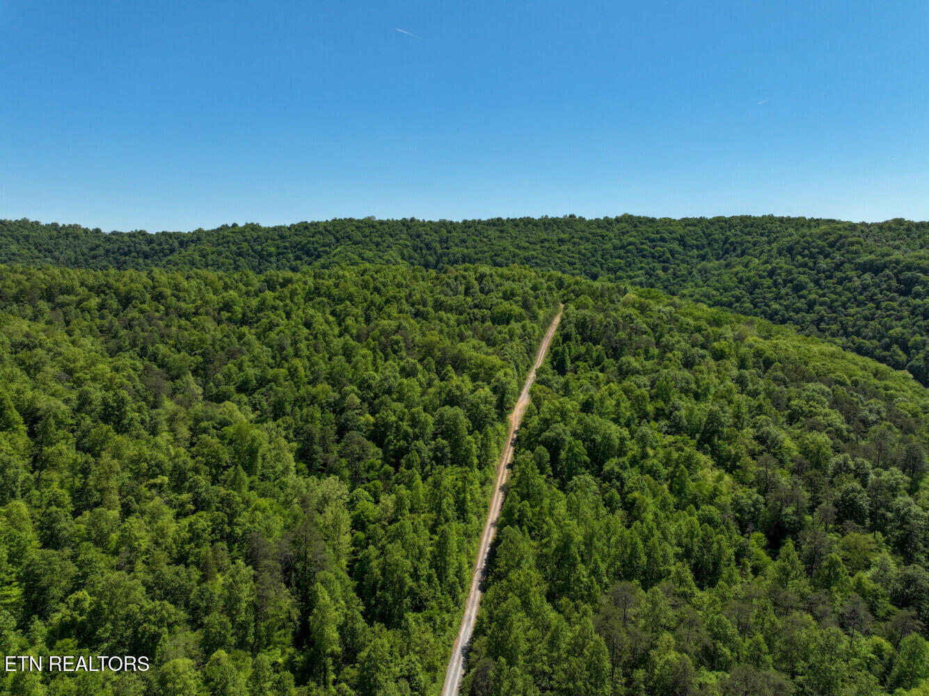 Lot 162 Crestwood Drive Speedwell TN 37870