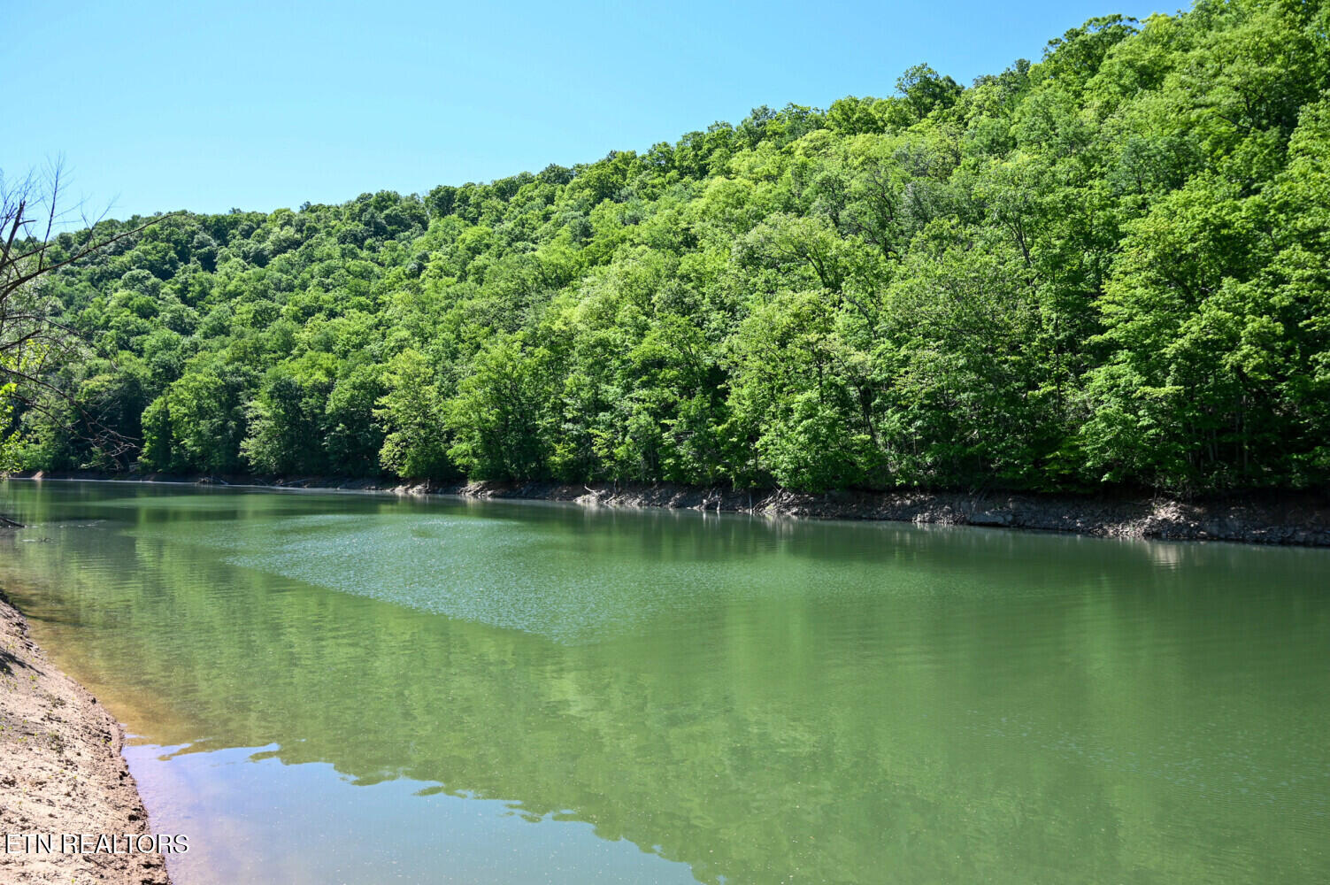 Lot 162 Crestwood Drive Speedwell TN 37870