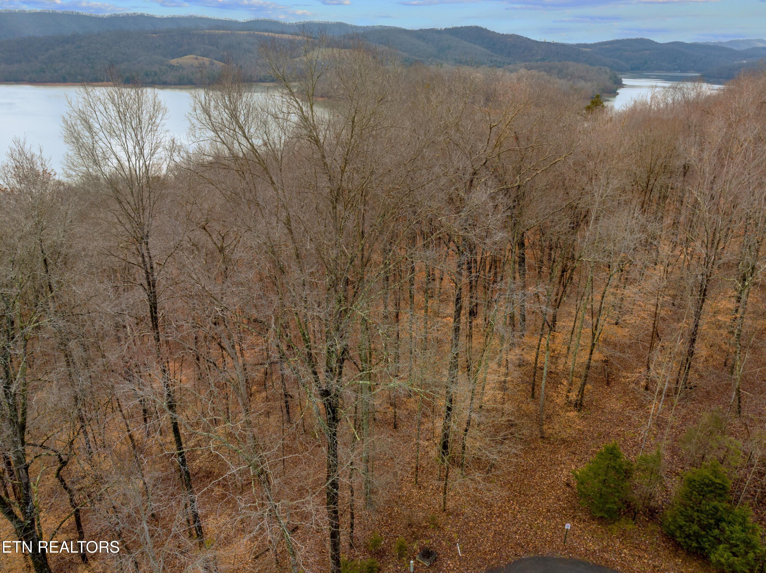 Mystic Star Drive New Tazewell TN 37825