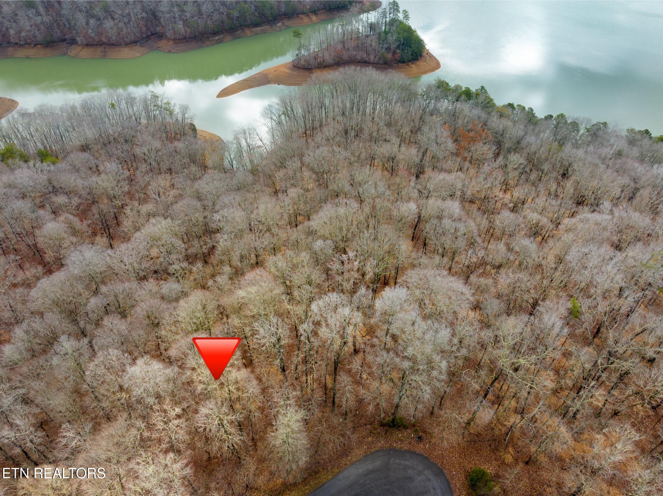 Mystic Star Drive New Tazewell TN 37825