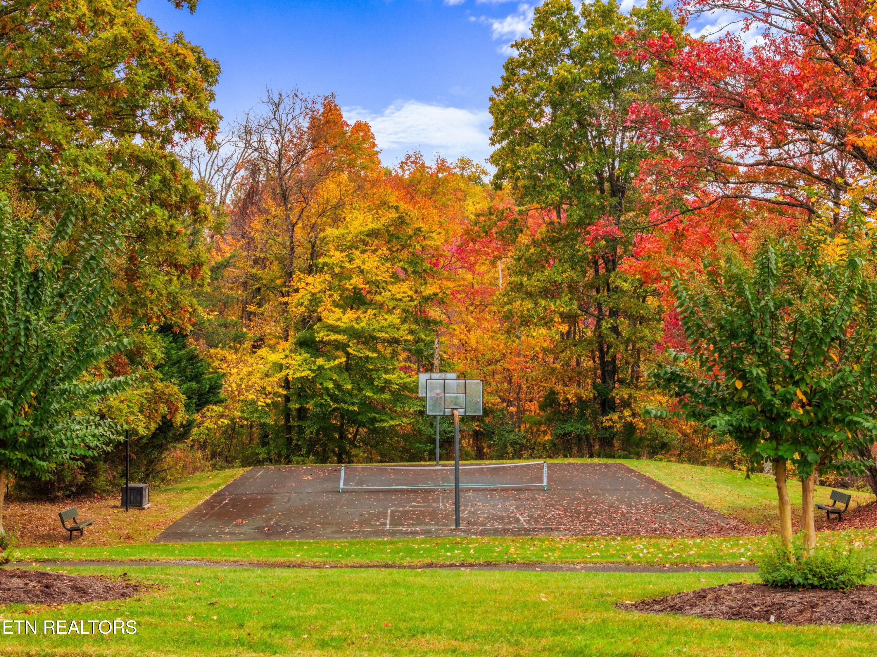Mystic Star Drive New Tazewell TN 37825