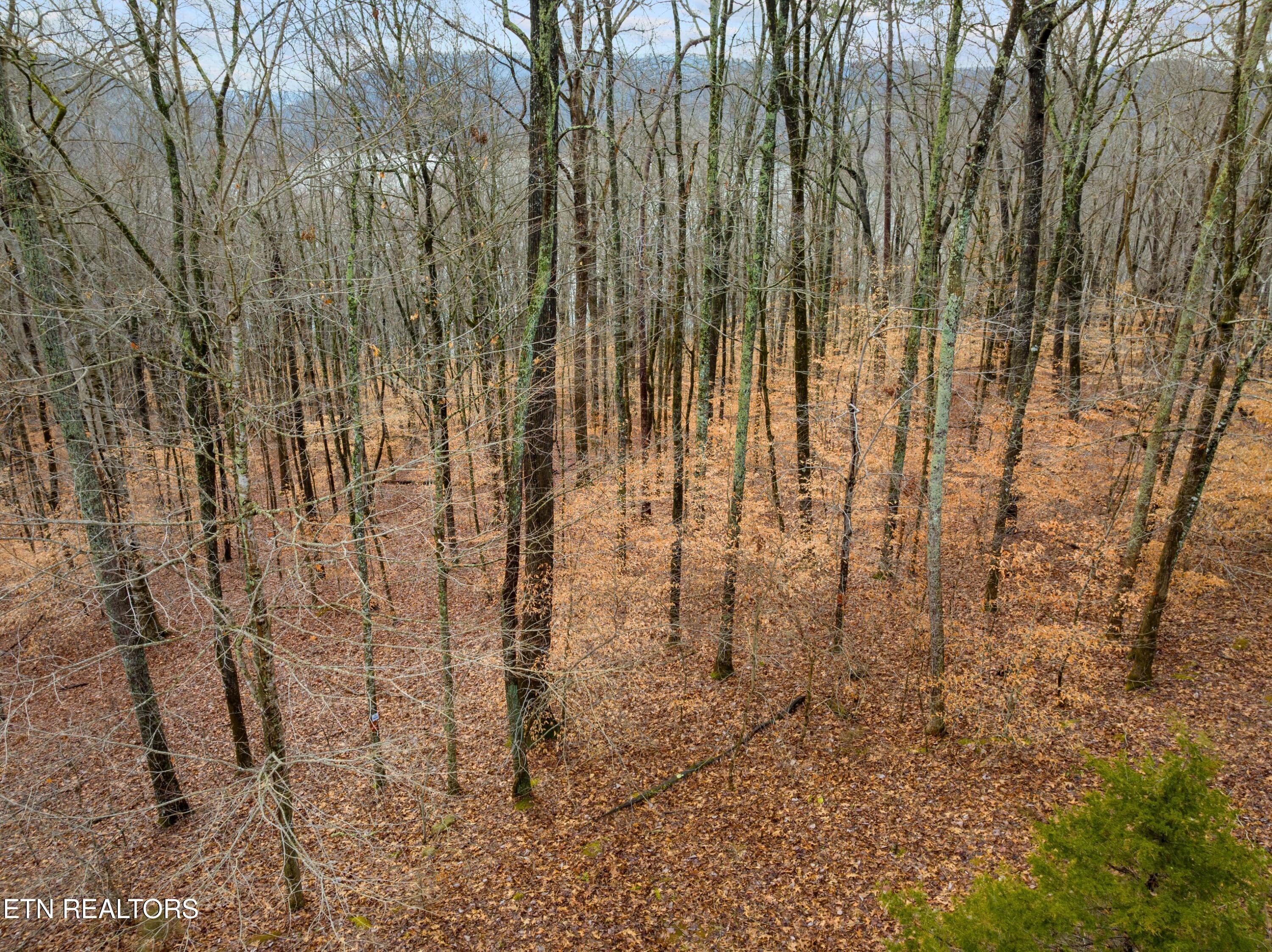 Mystic Star Drive New Tazewell TN 37825