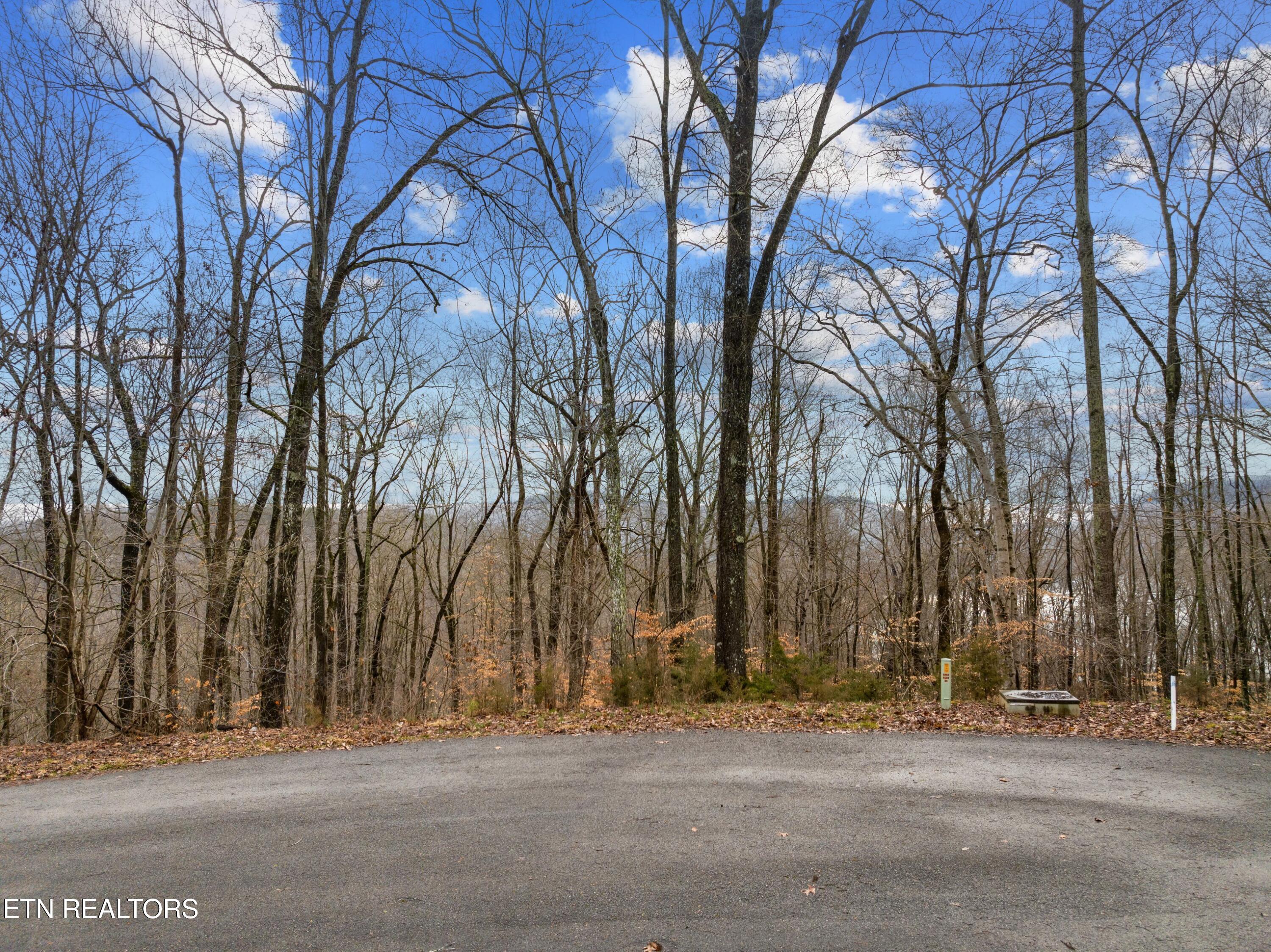 Mystic Star Drive New Tazewell TN 37825
