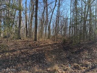 1151 Davidson Drive Monterey TN 38574