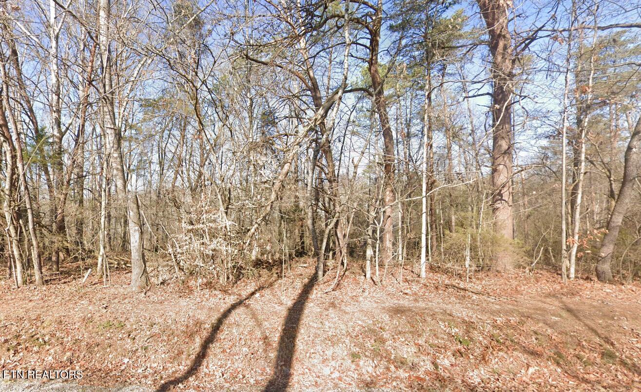 111 Chanusi Way Loudon TN 37774