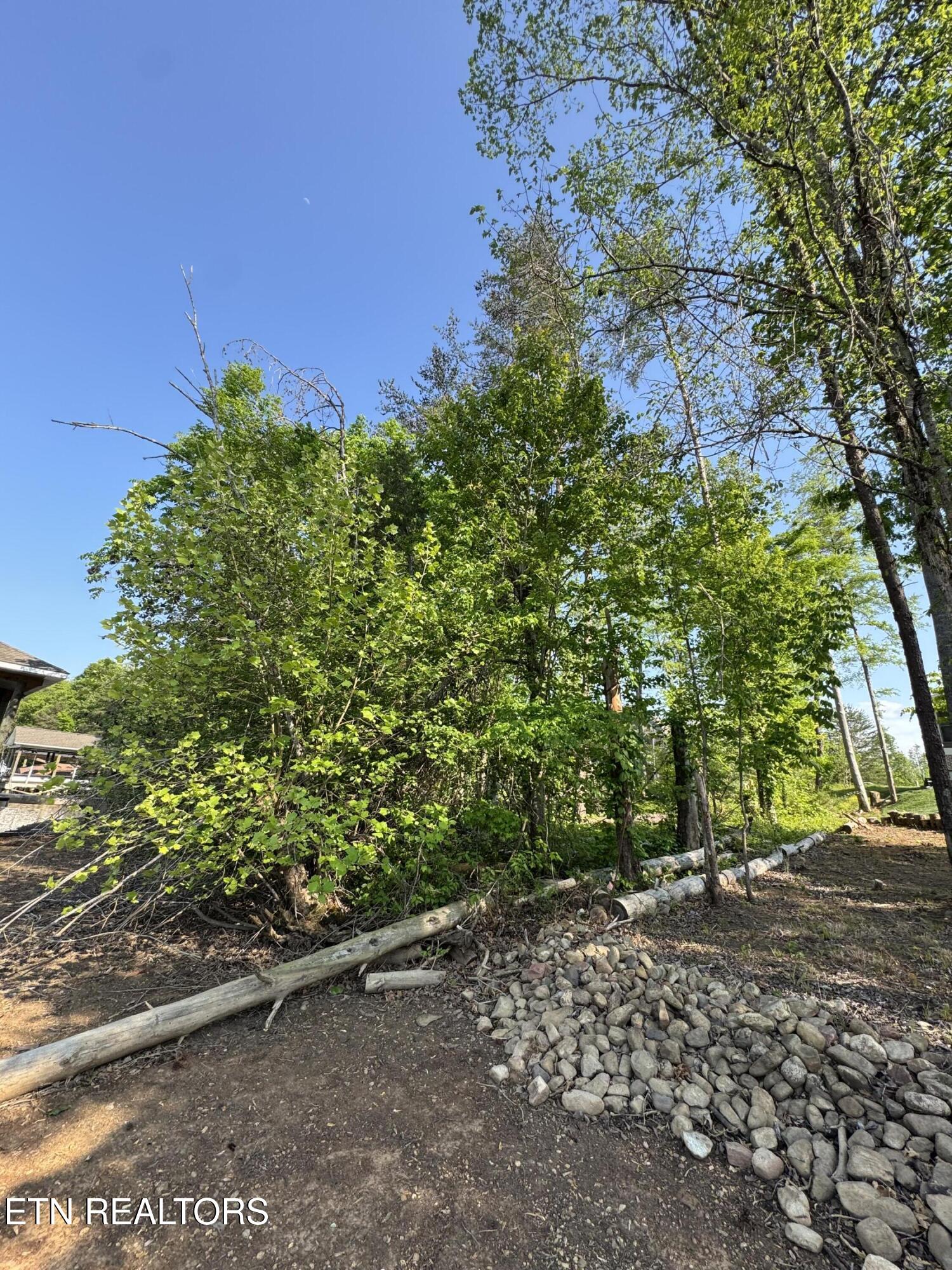 Lot 14 Falcon Trail Vonore TN 37885