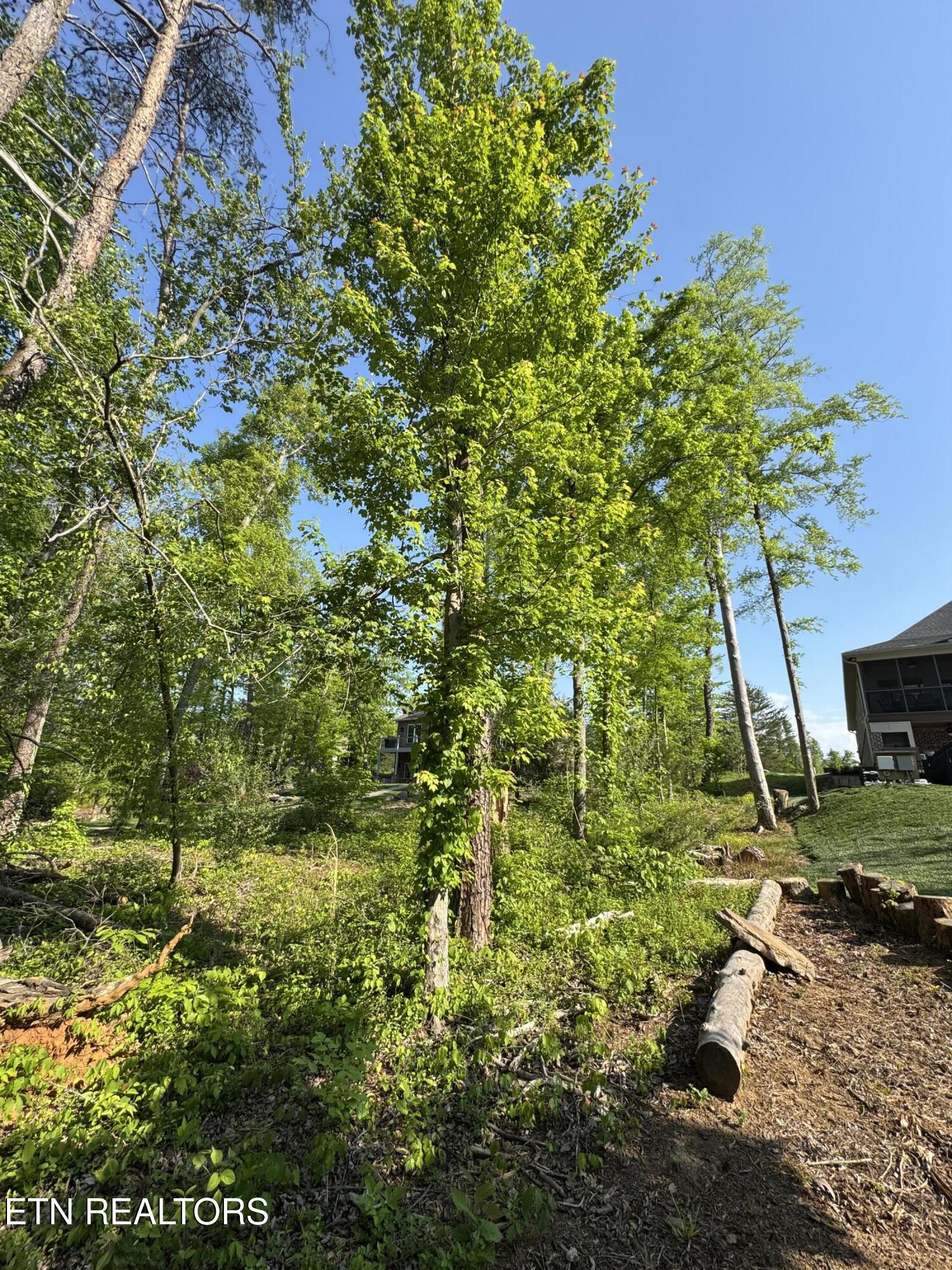 Lot 14 Falcon Trail Vonore TN 37885