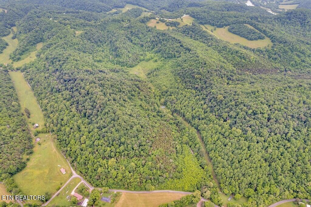 00 Hurricane Branch Lane Gainesboro TN 38562