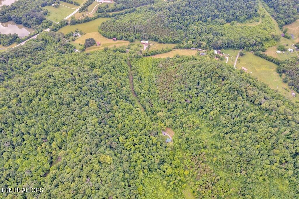 00 Hurricane Branch Lane Gainesboro TN 38562