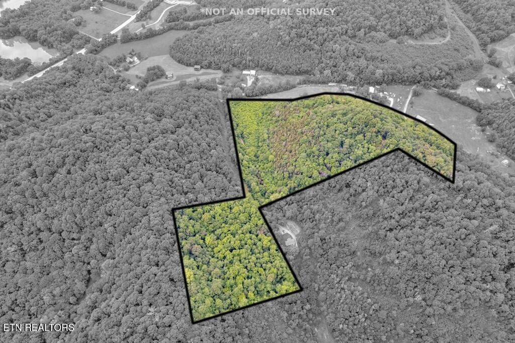 00 Hurricane Branch Lane Gainesboro TN 38562