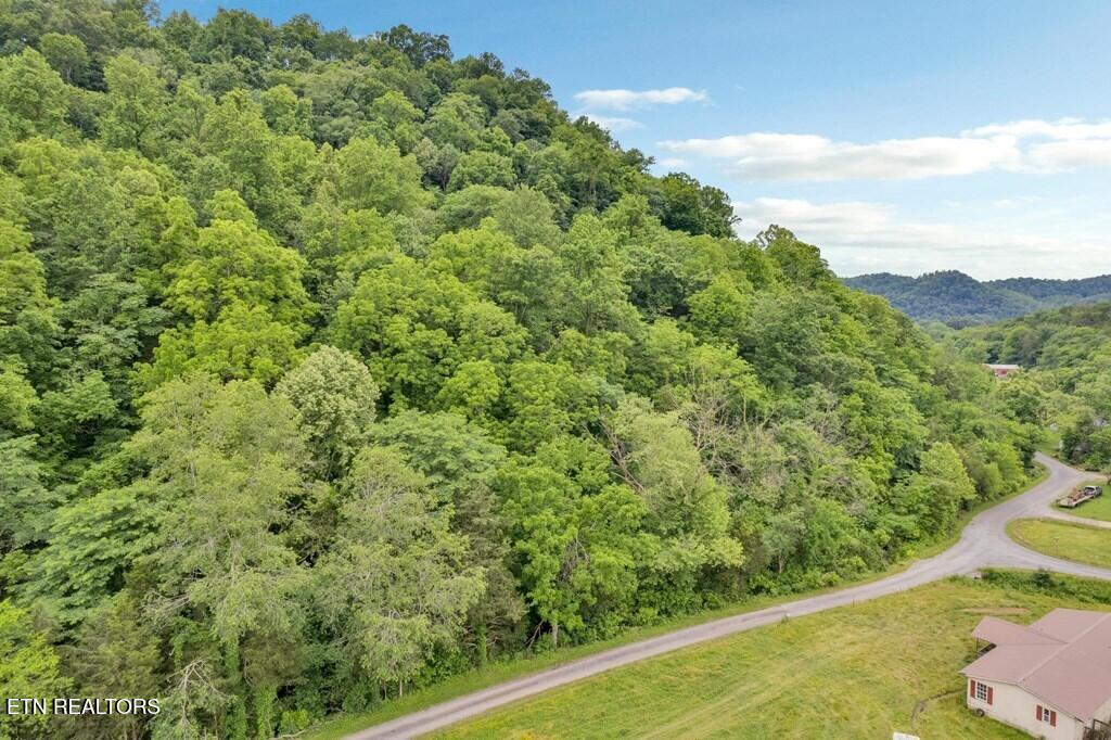 00 Hurricane Branch Lane Gainesboro TN 38562