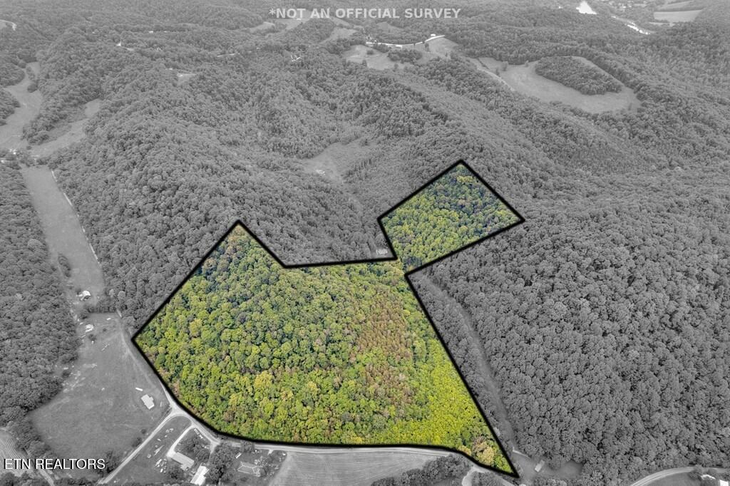00 Hurricane Branch Lane Gainesboro TN 38562