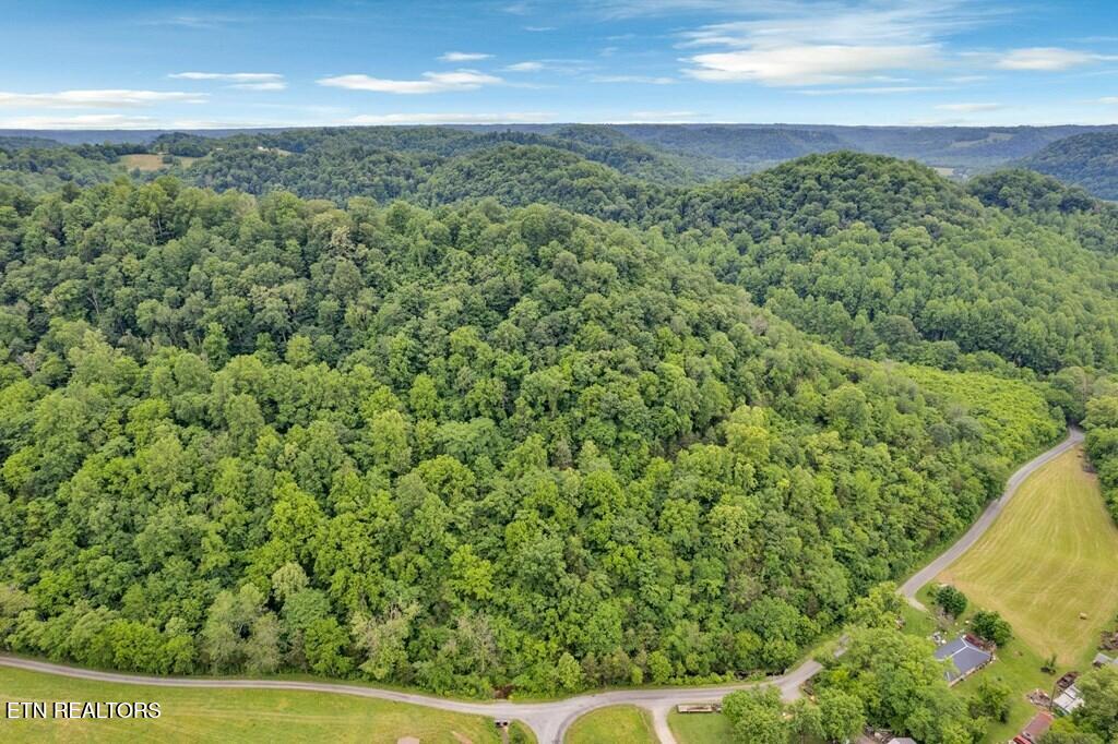 00 Hurricane Branch Lane Gainesboro TN 38562