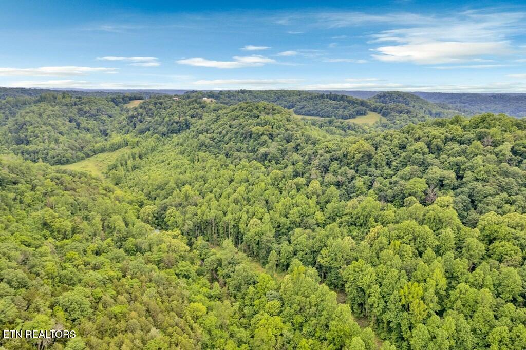 00 Hurricane Branch Lane Gainesboro TN 38562