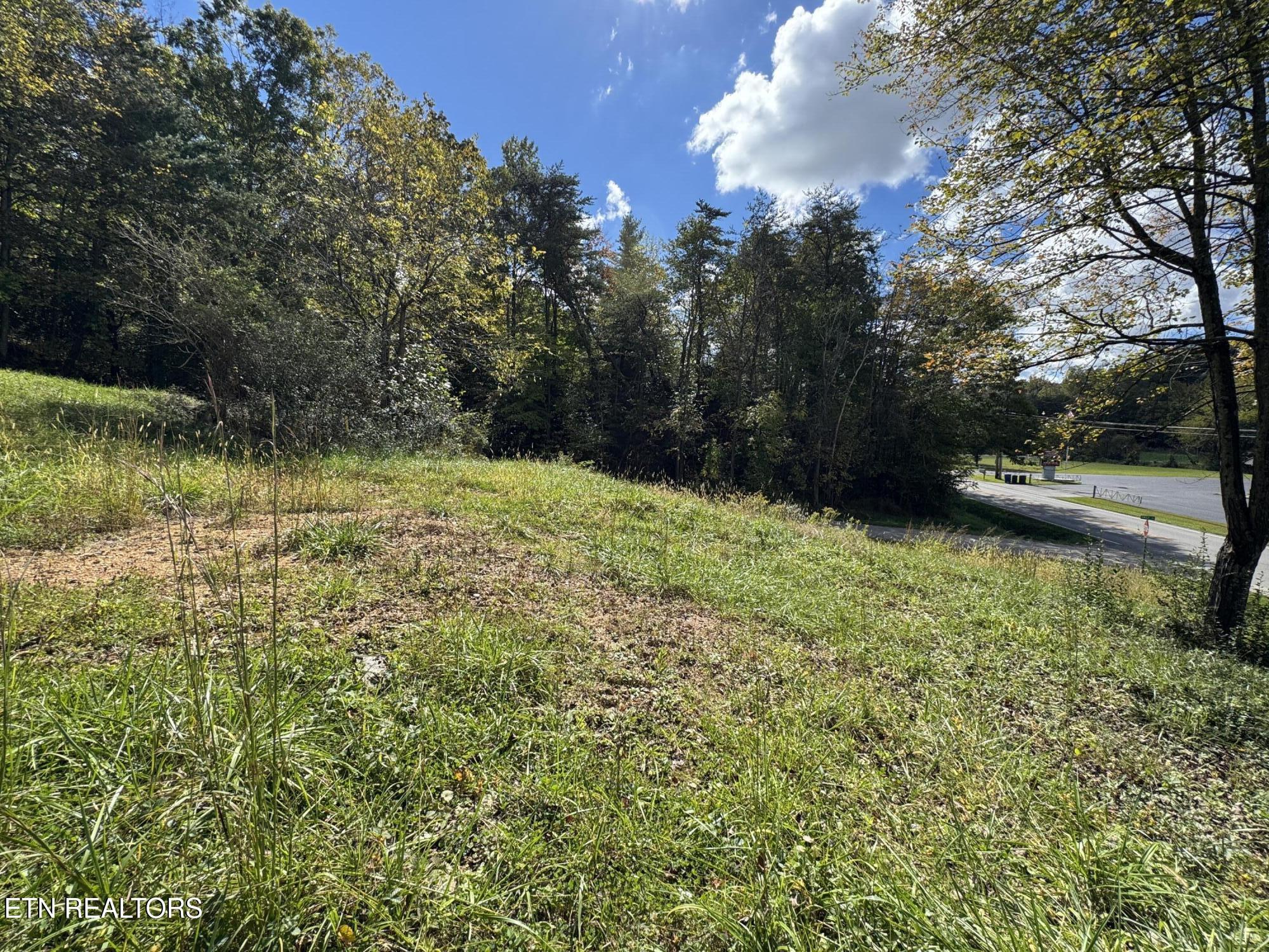 103 Shelton Lane Oneida TN 37841