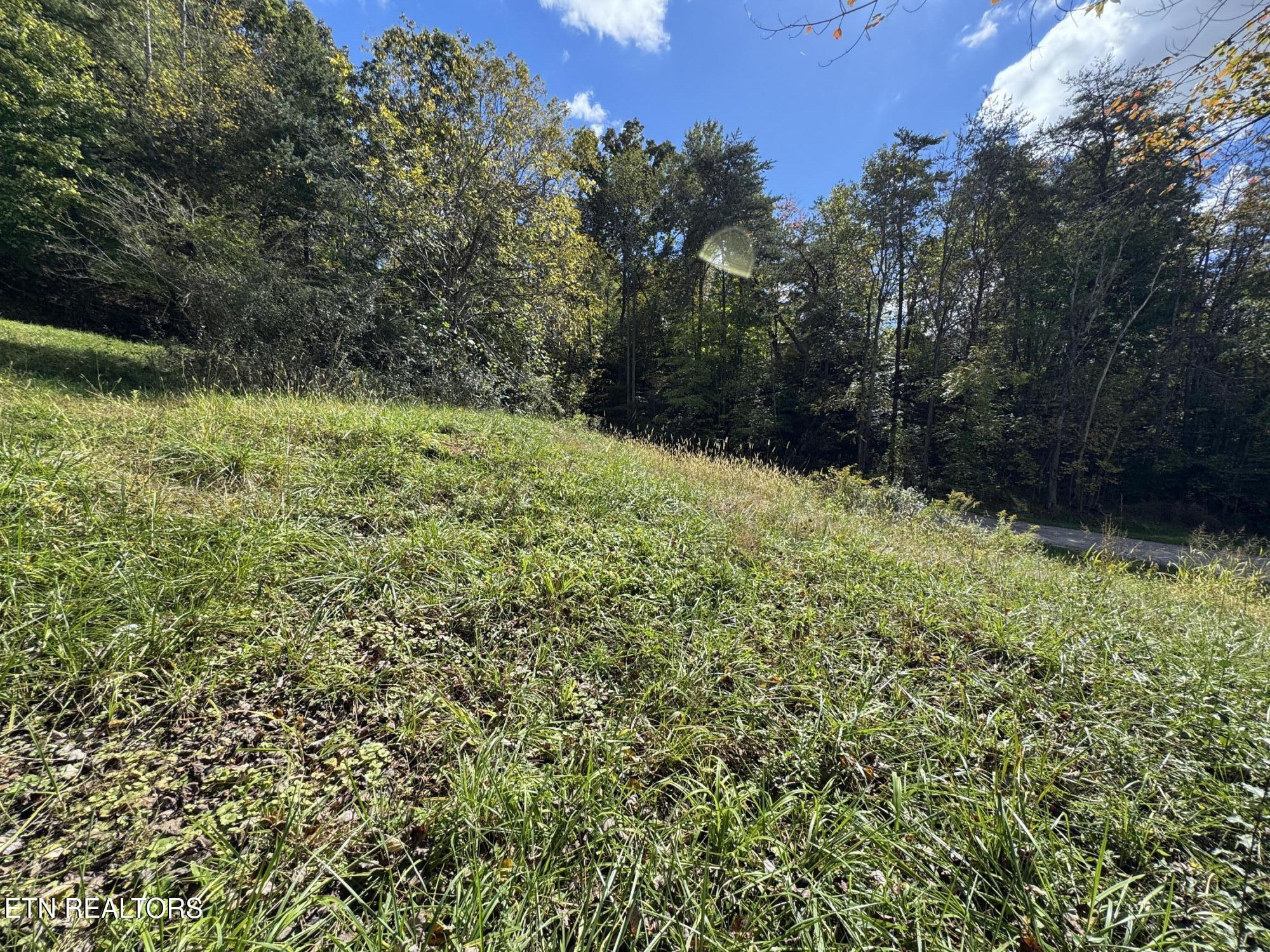 103 Shelton Lane Oneida TN 37841