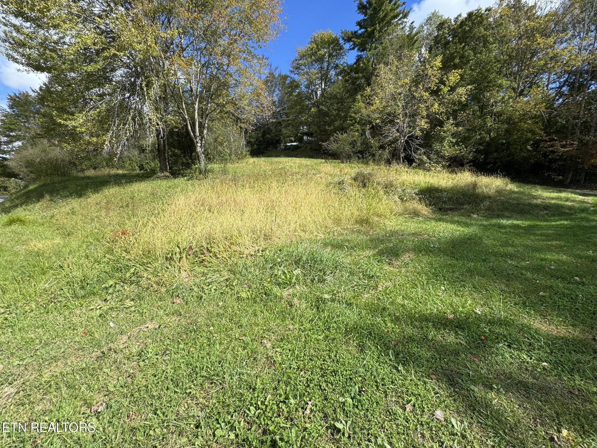 103 Shelton Lane Oneida TN 37841