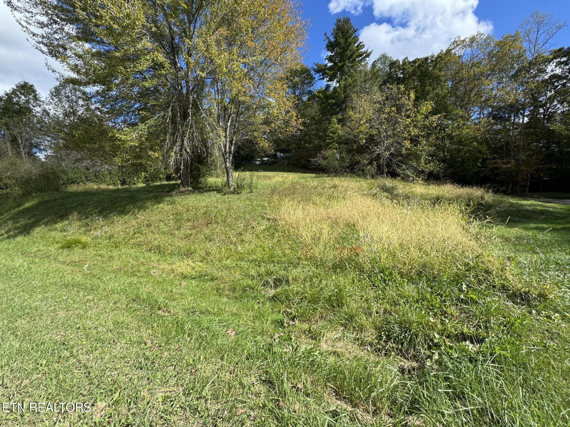 103 Shelton Lane Oneida TN 37841