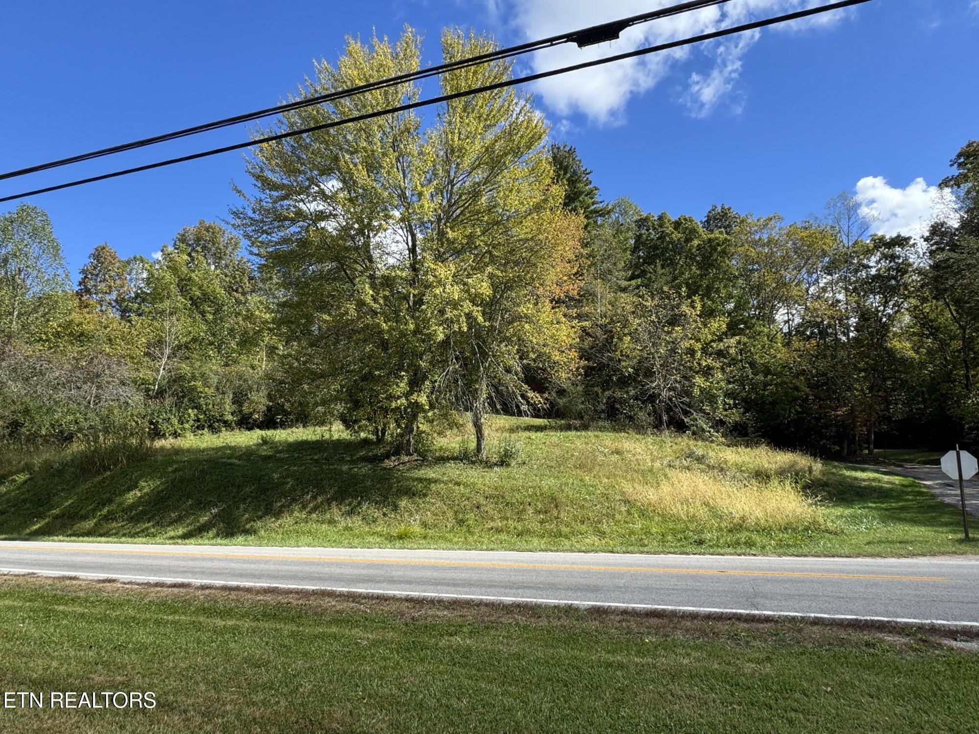 103 Shelton Lane Oneida TN 37841