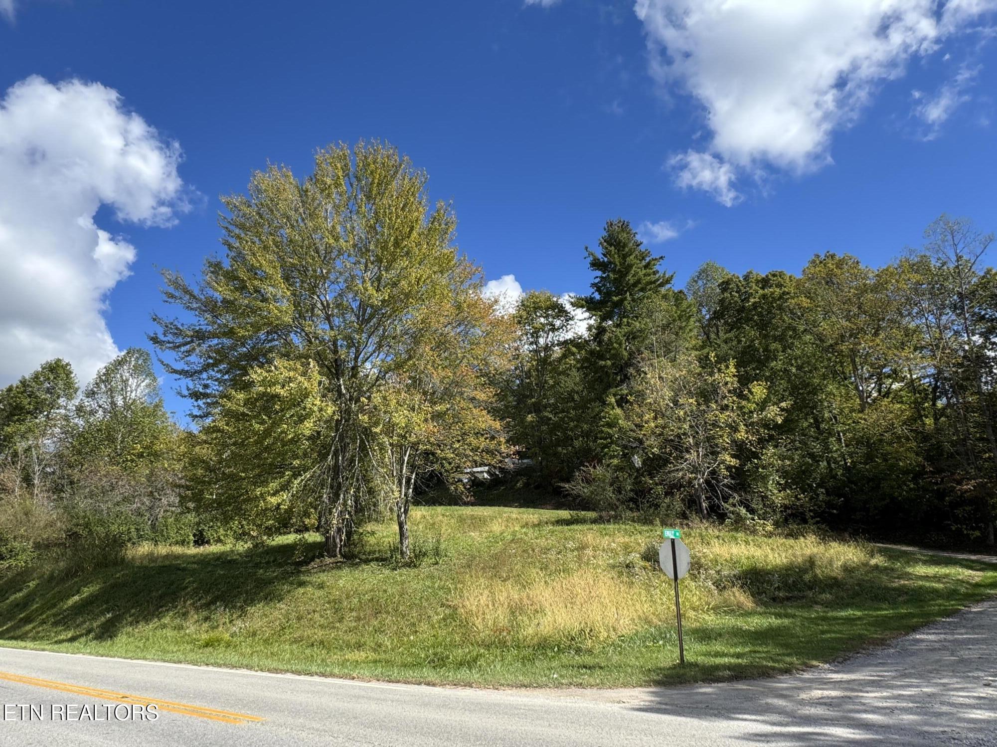 103 Shelton Lane Oneida TN 37841