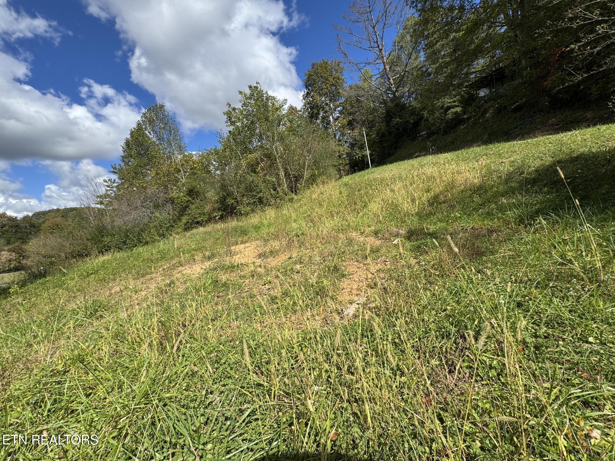 103 Shelton Lane Oneida TN 37841