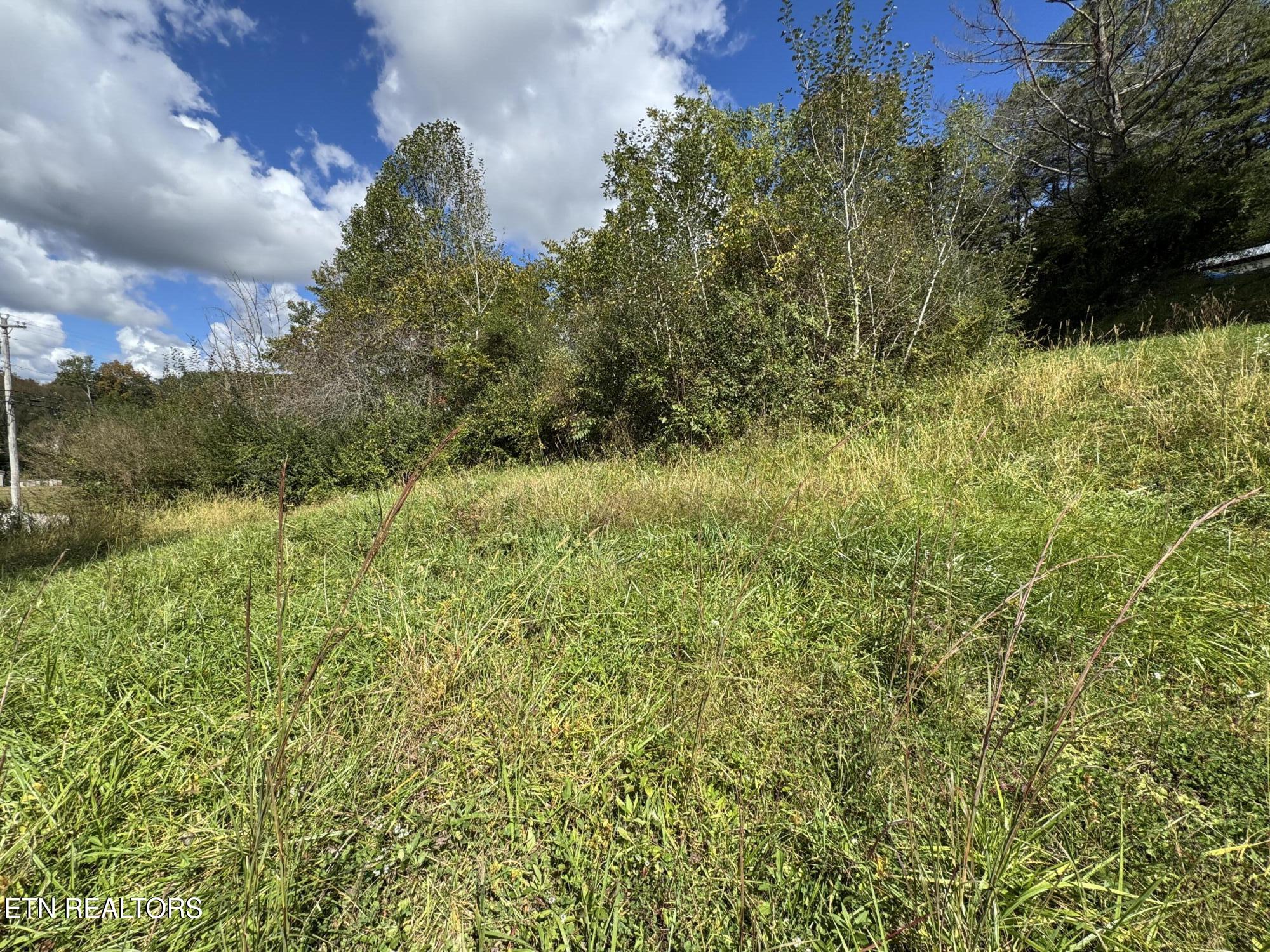 103 Shelton Lane Oneida TN 37841