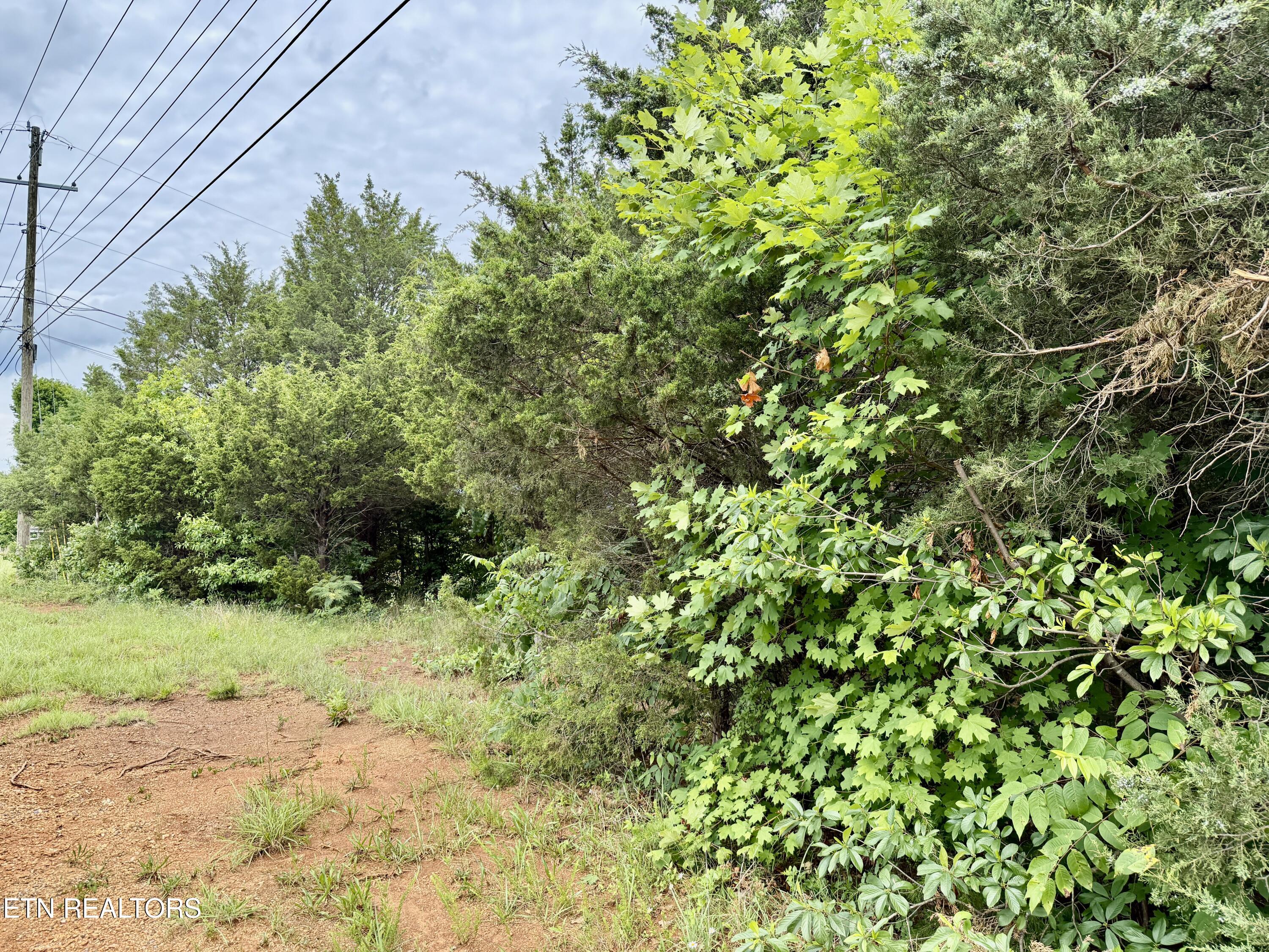 6989 W Andrew Johnson Highway Talbott TN 37877