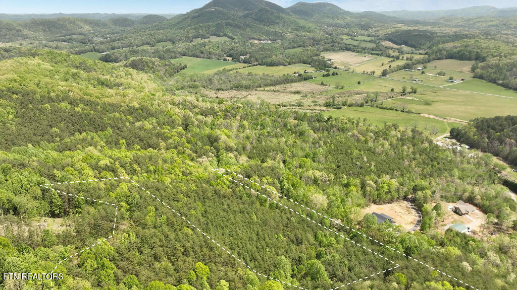 285 Highlands Bluff Tellico Plains TN 37385