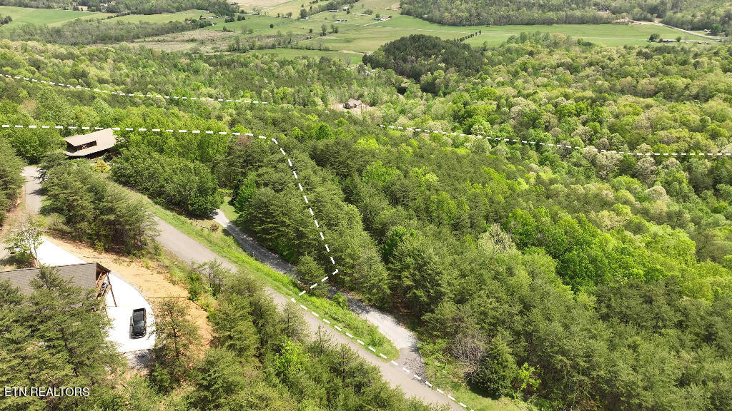 285 Highlands Bluff Tellico Plains TN 37385