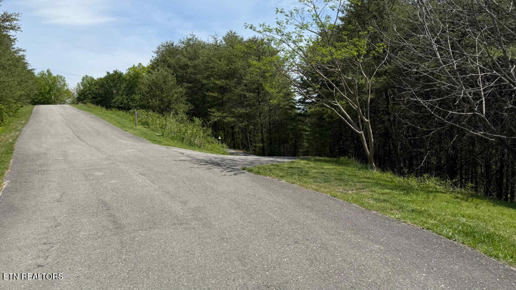 285 Highlands Bluff Tellico Plains TN 37385
