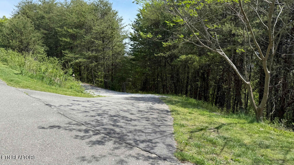 285 Highlands Bluff Tellico Plains TN 37385