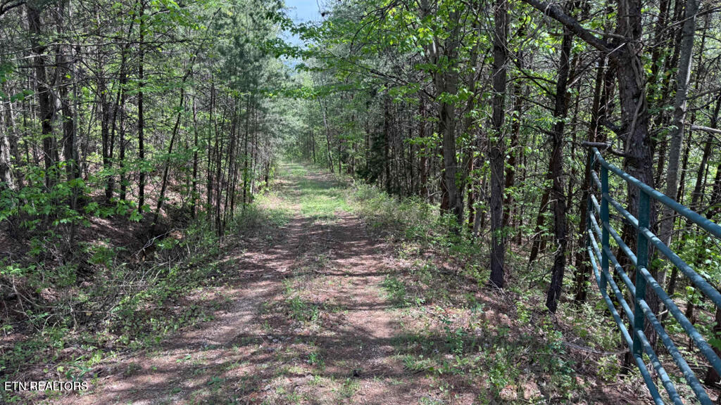 285 Highlands Bluff Tellico Plains TN 37385