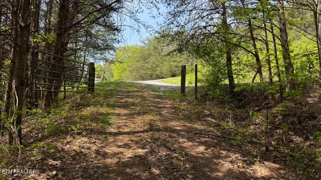 285 Highlands Bluff Tellico Plains TN 37385