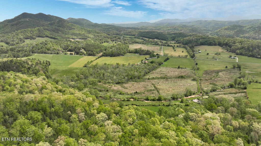 285 Highlands Bluff Tellico Plains TN 37385