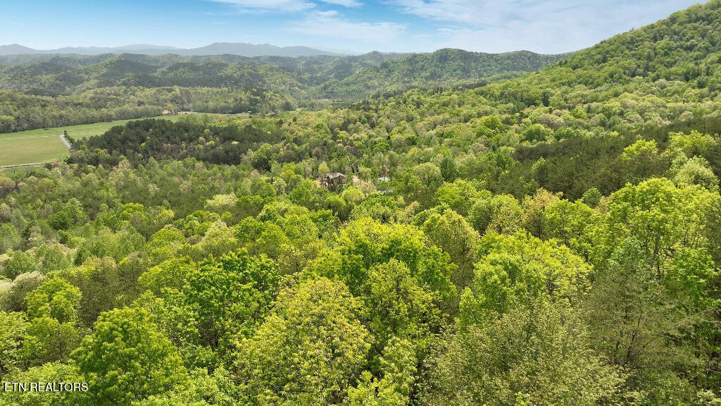 285 Highlands Bluff Tellico Plains TN 37385
