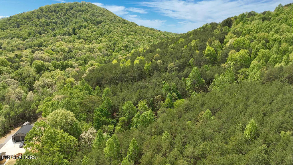 285 Highlands Bluff Tellico Plains TN 37385