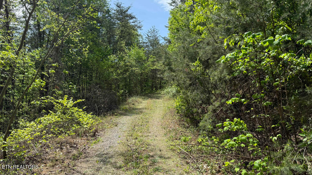 285 Highlands Bluff Tellico Plains TN 37385