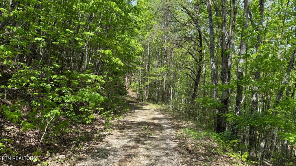 285 Highlands Bluff Tellico Plains TN 37385