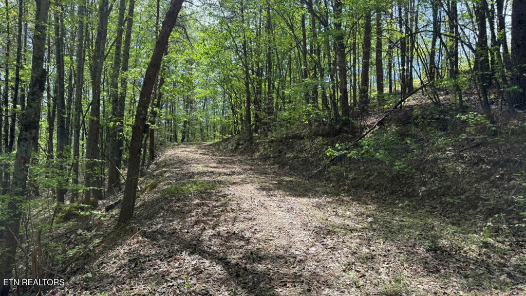 285 Highlands Bluff Tellico Plains TN 37385