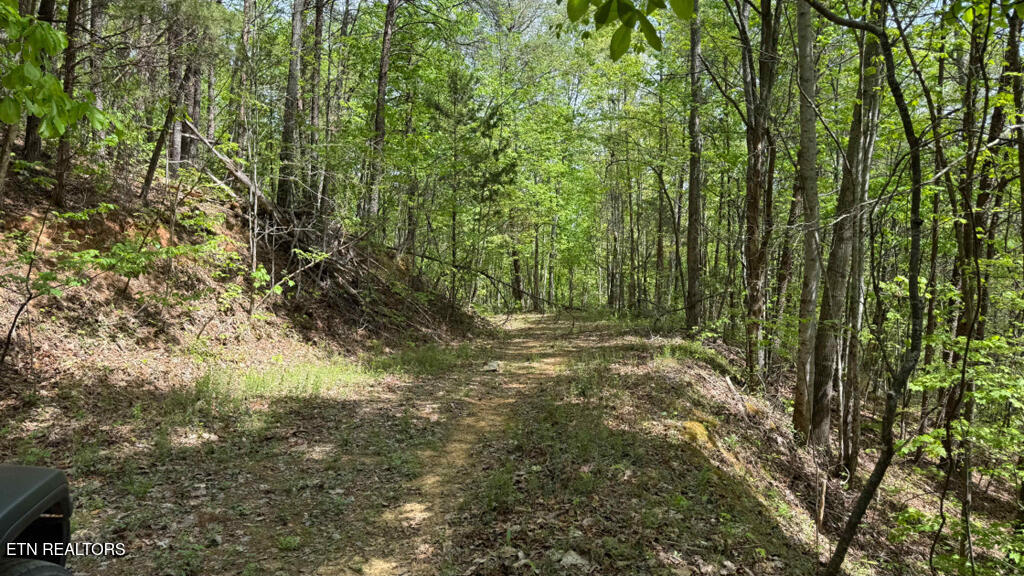 285 Highlands Bluff Tellico Plains TN 37385