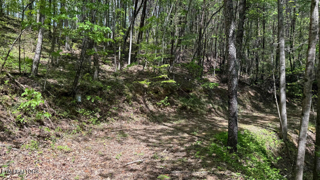285 Highlands Bluff Tellico Plains TN 37385